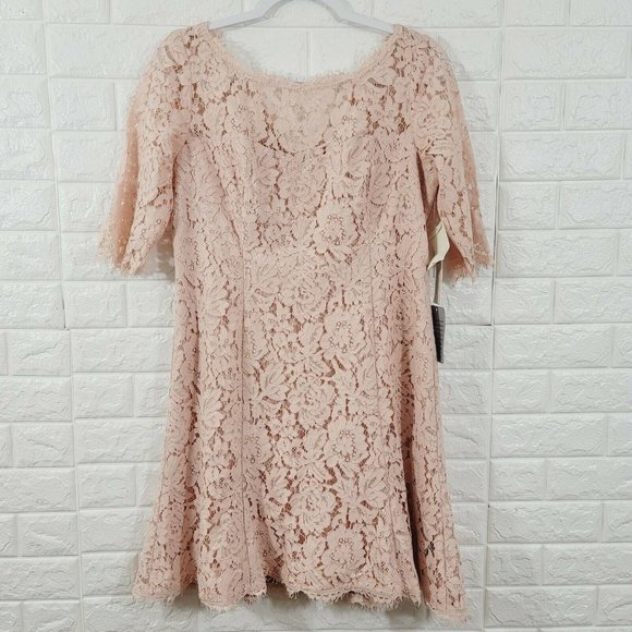 Eliza J Women' Over All Mesh Dress 3/4 Sleeve Boat Neck Floral Print Pink AZ 12P
